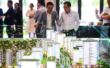 TP.HCM 'chọn' tiếp 63 khu đất thí điểm nhận đất nông nghiệp làm nhà ở thương mại