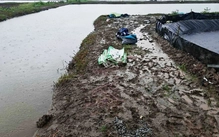 Hai người làm thuê bị sét đánh tử vong khi vệ sinh ao tôm