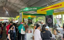 Chương trình Kết nối cung cầu năm 2025: Hướng đến chuỗi cung ứng xanh