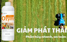 Giải pháp sinh học cho nông nghiệp bền vững