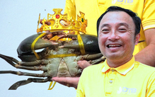 ‘Vua cua’ Cà Mau nặng hơn 1,8kg được đề nghị xác lập kỷ lục Việt Nam