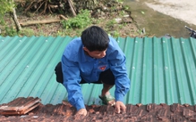 Không cầm được lòng khi thấy cảnh bà con ngồi trên mái nhà tránh bão lũ