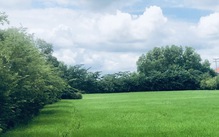 Làm sao xác định ai là đồng sử dụng đất hộ gia đình khi số hóa trong VNeID?