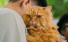 Nhu cầu chăm sóc sức khỏe cho thú cưng tăng trưởng 2 con số