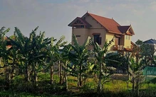 1.500m² đất cho gia đình nguyên bí thư phường thuê với giá chỉ 500.000 đồng/năm