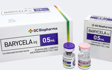 Các điểm mới cập nhật trong Bản hướng dẫn của WHO cho vắc xin thủy đậu