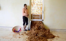 Đồi thông 35ha đang sạt lở, nhiều hộ dân ở Lâm Đồng phải sơ tán