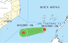 Vùng áp thấp gây gió mạnh trên Biển Đông, Nam Bộ có mưa