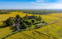 Ngắm cánh đồng lúa vàng ươm thơ mộng ở Xuân Tùy, TP Huế từ trên cao