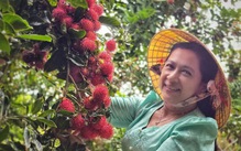Từ chiếc áo bà ba đến thương hiệu du lịch: Giữ hồn miệt vườn, lan tỏa du lịch cộng đồng