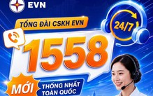 Công ty Điện lực Khánh Hòa: Một chiếc điện thoại, nhiều dịch vụ điện
