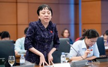 Đại biểu Phạm Khánh Phong Lan: Không thể để những bất cập trong giáo dục, y tế âm ỉ rồi tái diễn