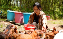 92 bạn đọc giúp nữ sinh viên 'tìm mẹ trong mưa gió' gần 78 triệu đồng