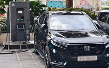 Xe điện thống trị doanh số, vì sao các hãng vẫn ồ ạt đổ bộ xe hybrid vào Việt Nam?