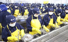 Miền Tây thiếu lao động - Kỳ 2: Rèn tiếng Anh, tiếng Trung đón nhà máy tự động hóa