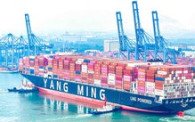 Cái Mép hút tàu container thế hệ mới, sức chở 15.500 TEU