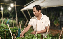 Ngôi làng 'biến đêm thành ngày' chờ Tết