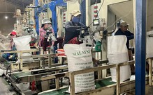 Doanh nghiệp xuất khẩu gạo được giảm điều kiện, bỏ lệ phí, rút thời gian cấp giấy