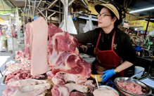 Giá cả đầu ngày: Khô cá đồng vào mùa, xà lách xoong tăng giá, heo hơi giảm còn 53.000 đồng/kg