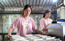 Thêm cả tỉ đồng bạn đọc giúp các gương mặt tân sinh viên báo Tuổi Trẻ giới thiệu
