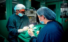 Quảng Trị hỗ trợ tiền sinh viên học bác sĩ đa khoa, ai vi phạm cam kết phải đền gấp 5