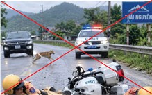 'Hai cảnh sát giao thông gặp nạn ở Thái Nguyên vì chó lao qua đường' là tin giả, ảnh do AI tạo