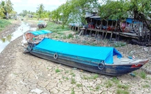 El Nino không chỉ gây nắng nóng khô hạn mà còn nguy cơ bão mạnh tại Việt Nam