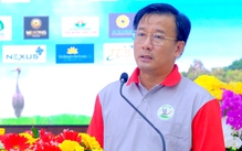 Đồng Tháp đón thêm 6 sếu đầu đỏ về Vườn quốc gia Tràm Chim