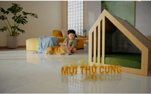 Liệu nước lau sàn có thể khử mùi hôi mà vẫn an lành cho thú cưng?