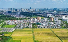 Bộ Nội vụ đề xuất chưa xem xét, miễn kỷ luật với một số vi phạm đất đai cũ
