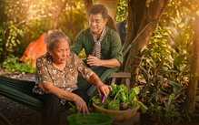 Nghệ sĩ Lê Thiện gây xúc động với bà mẹ nhớ người con liệt sĩ trong khu vườn quạnh hiu