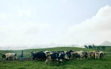 Mộc Châu Creamery chinh phục người tiêu dùng miền Nam