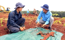 Tìm thấy nhiều di vật nghi của liệt sĩ tại hố chôn tập thể ở Đồng Nai, có cây bút khắc tên 'Tiến Quy'