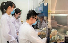 Thành phố của nguồn nhân lực chất lượng cao