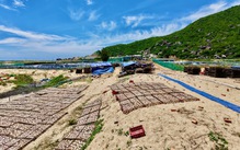 Cung đường ven biển đẹp nhất Phú Yên bốc mùi vì sơ chế mực xà