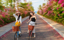 Ngàn hoa rừng về phố biển Quy Nhơn trong mùa lễ hội tháng 8