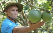 Hợp tác Việt - Úc: Thêm hàm lượng công nghệ vào nông nghiệp Việt Nam