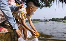 Phóng sinh đúng chánh pháp theo nhà Phật là thế nào?