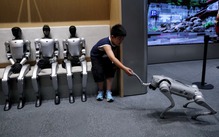 Reuters: Robot chó Trung Quốc thống trị thị trường có 'gốc' từ nghiên cứu do quân đội Mỹ tài trợ