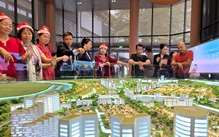 Bác sĩ, luật sư, môi giới bất động sản sẽ bị rà soát thuế trong bao nhiêu năm?