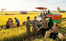 Muôn kiểu 'qua nhà khiêng giùm cái tủ'