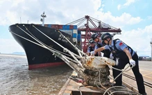 Trung Quốc nâng mức ứng phó bão Dolphin, đóng cảng, đình chỉ 162 tuyến phà
