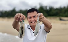 Mực đuổi là gì mà ngư dân săn kiếm được bạc triệu 1 ngày?