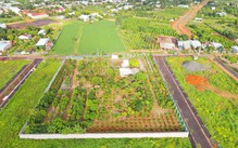 Làm rõ trách nhiệm vụ 3 người trúng đấu giá 205 lô đất, không thu hồi tiền cọc