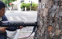 Soi quy trình 'khai tử' cây xanh ở trung tâm thành phố