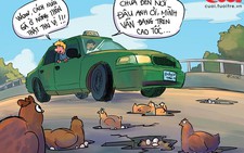 Cách nuôi gà vịt ở nông thôn thật thú vị