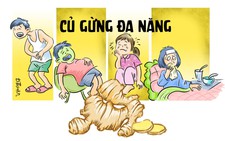 Ngày tết, nhớ thủ gừng trong bếp