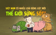 Thế giới sửng sốt khi phát hiện Việt Nam có nhiều loài động vật mới