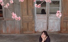 Mai anh đào rực rỡ khoe sắc hồng khắp Đà Lạt