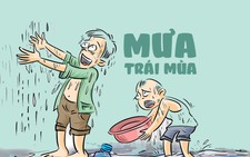 Mưa trái mùa có phải là mưa vàng?